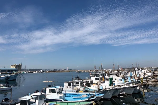 篠島の漁業風景