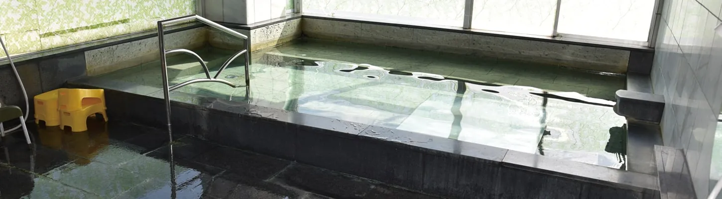 三河湾を一望する大舟の展望風呂