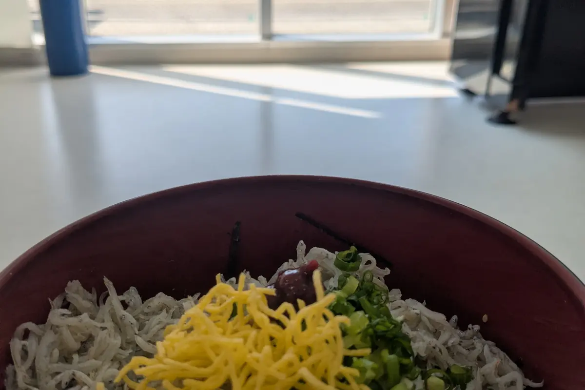 島の駅の軽食処のしらす丼